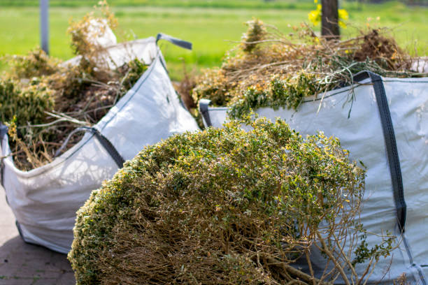 Best Dumpster Rental Services  in Almedia, PA